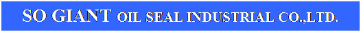 文字方塊: SO GIANT OIL SEAL INDUSTRIAL CO.,LTD.