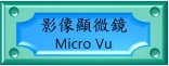vL